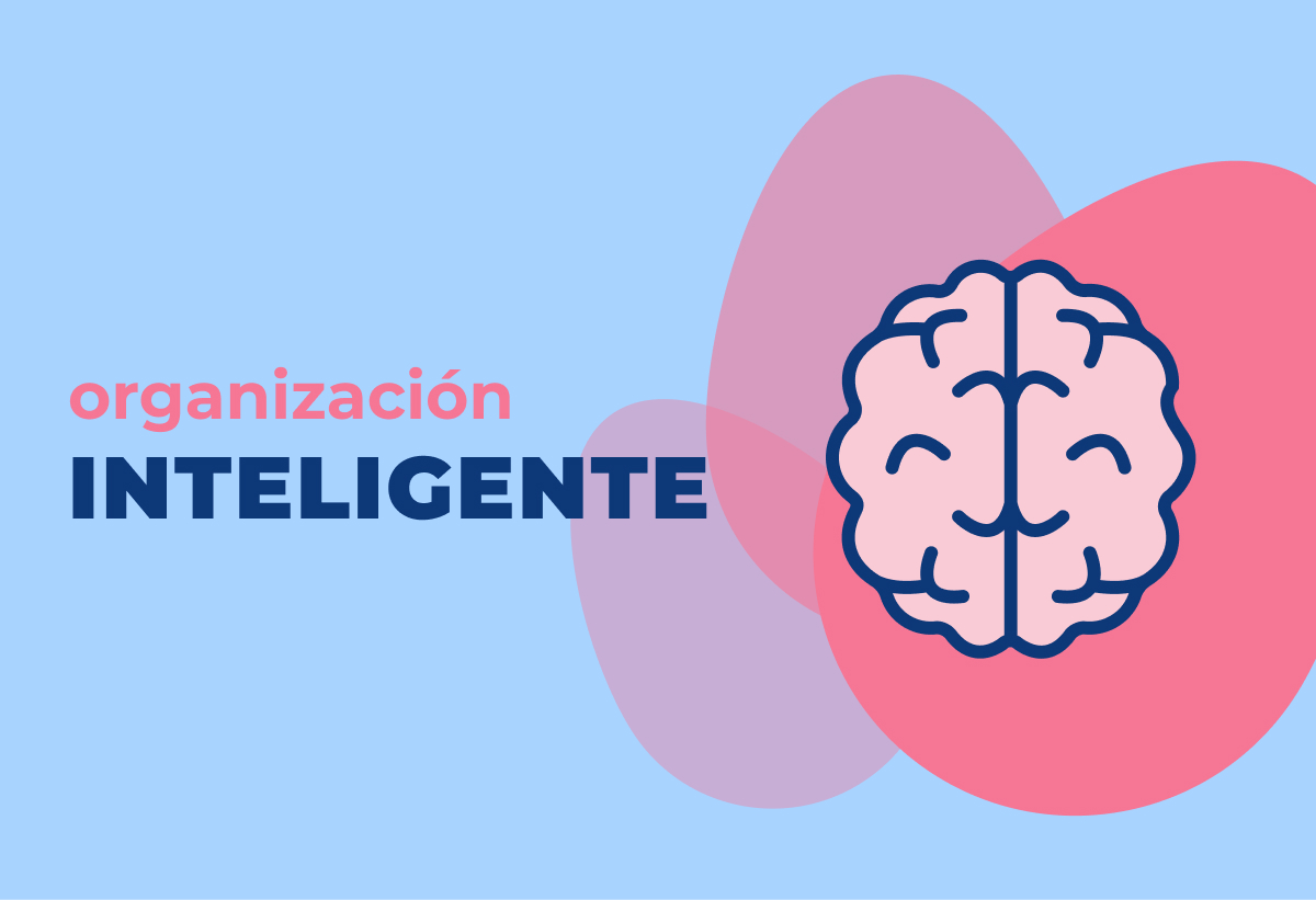 Organización inteligente, qué es y cómo crearla