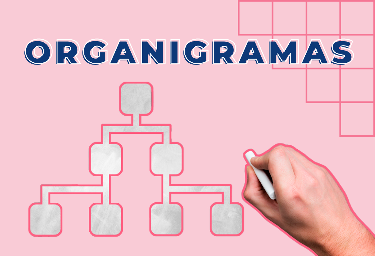 Tipos de organigramas: ¿Cuál emplear en mi empresa?