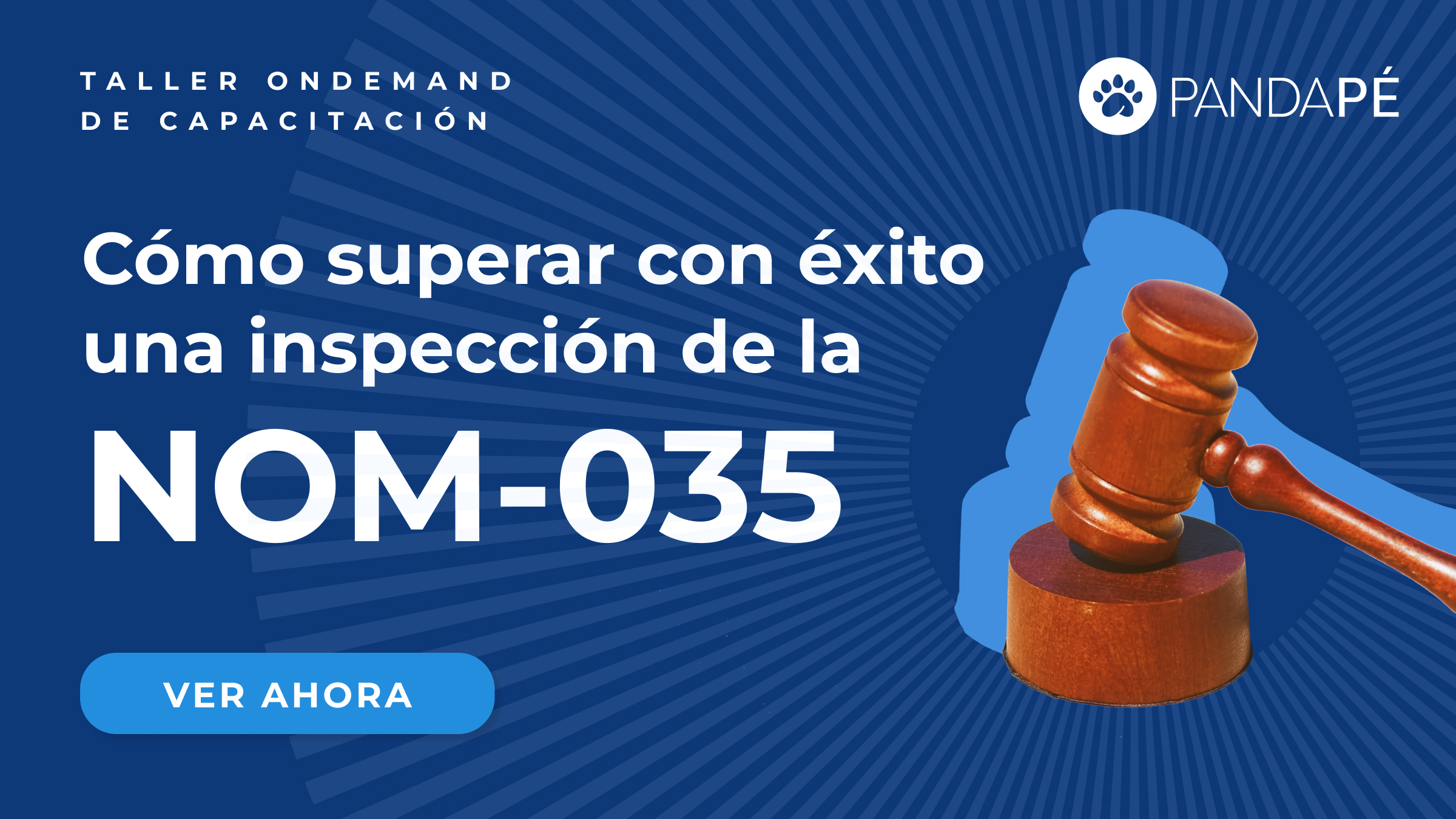 Taller Online: Cómo superar con éxito una inspección de la NOM-035