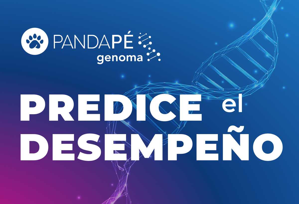 Datos, neurociencia y gamificación para predecir el desempeño laboral antes de contratar
