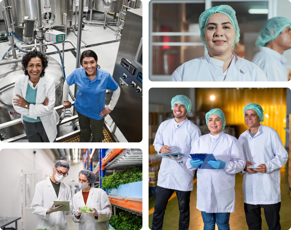 Case-study-galería-Imagen-mosaico-Sígma