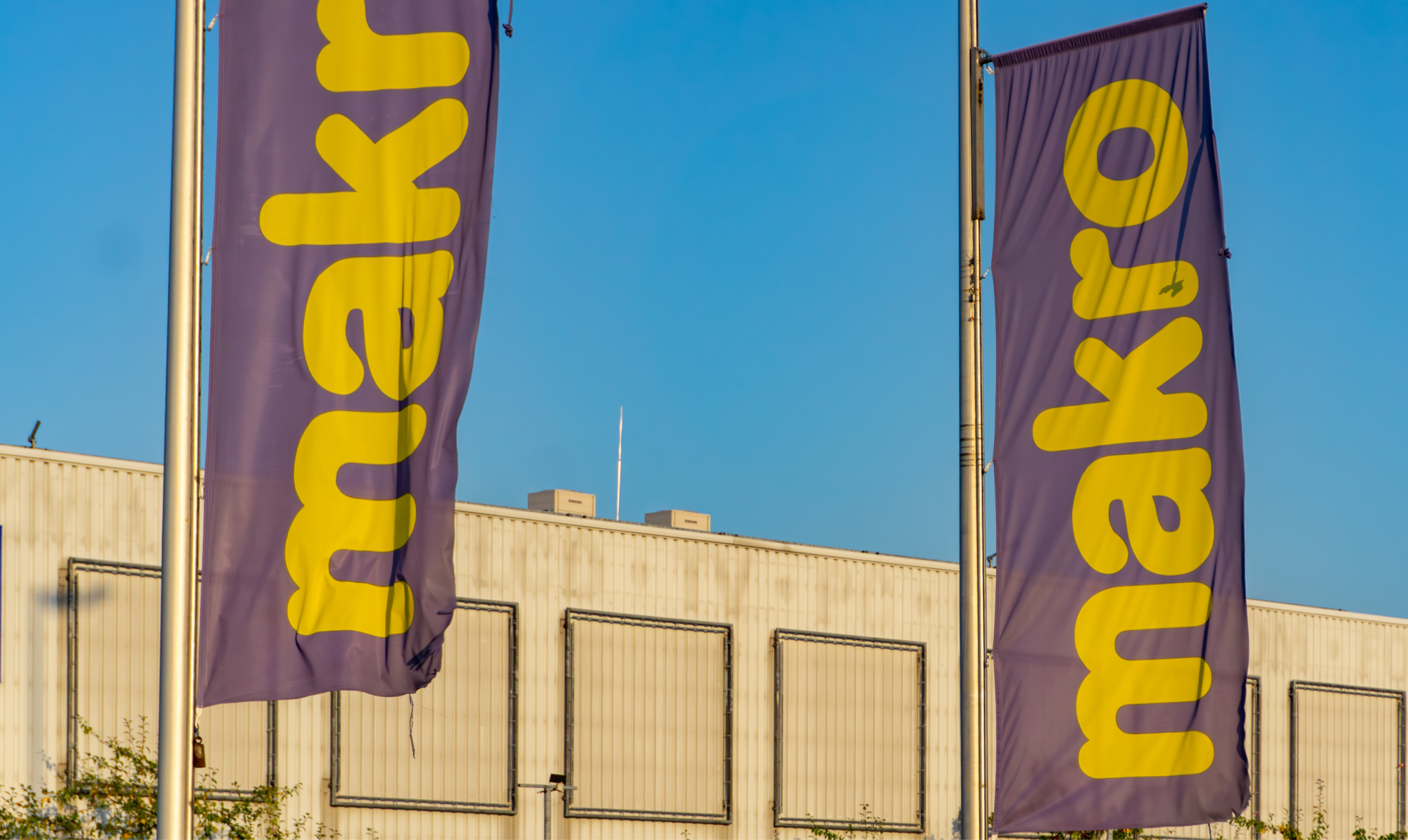 Makro: 2.000% postulaciones mensuales más con reclutamiento por WhatsApp
